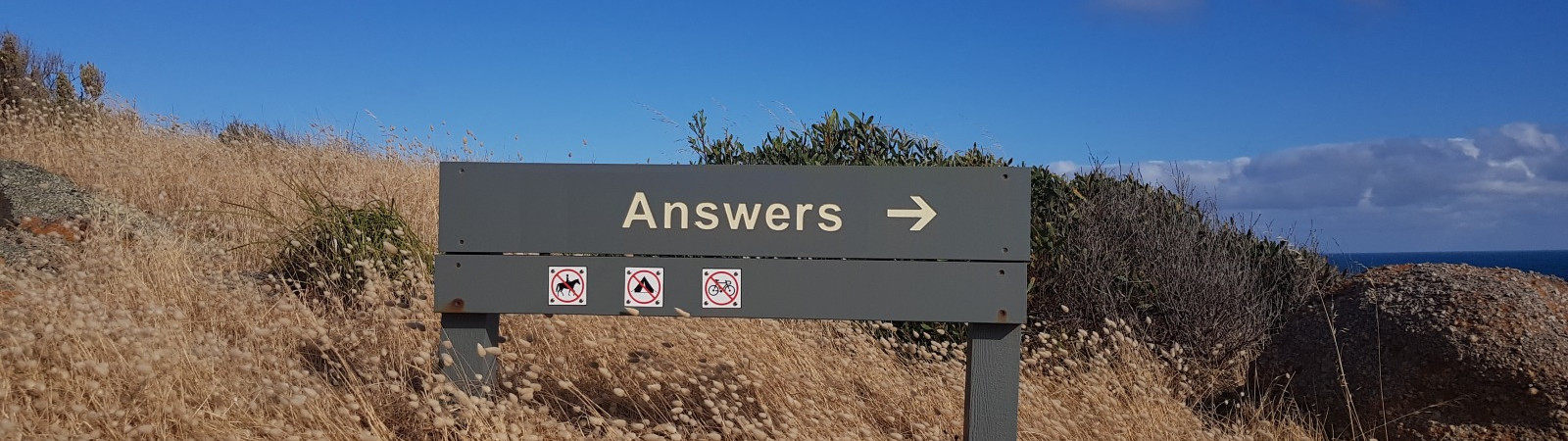 26 FAQ about bachelor parties