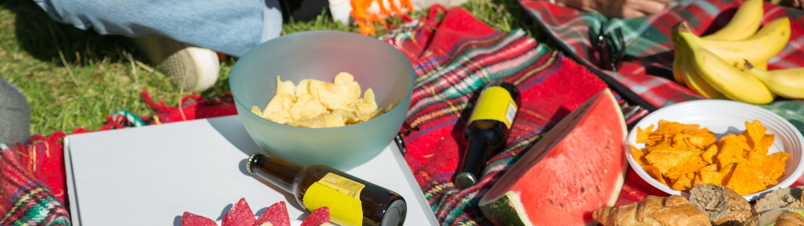 Picnic party as engagement party